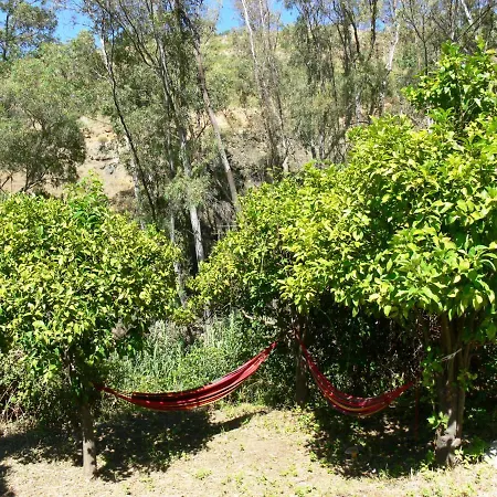 Vegan Pereila Bed & Breakfast *