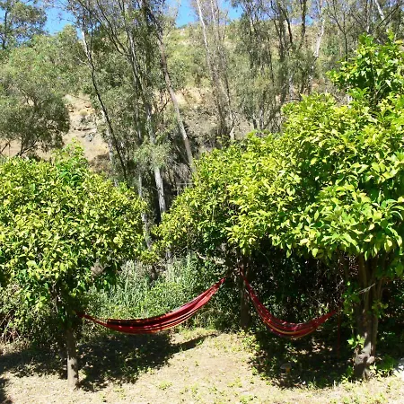 Vegan Pereila לינה וארוחת בוקר 3*