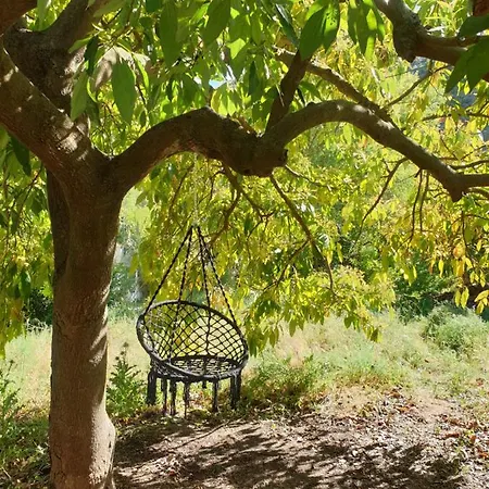 Vegan Pereila Bed & Breakfast