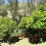 Vegan Pereila לינה וארוחת בוקר 3*