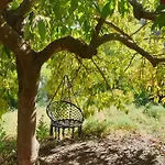 Vegan Pereila לינה וארוחת בוקר